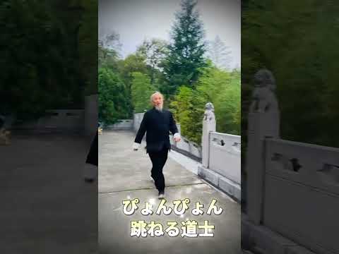 ぴょんぴょん跳ねる道士