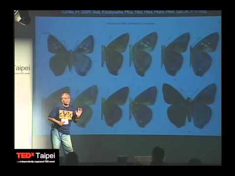 台灣豐富的蝴蝶生態：徐堉峰 @TEDxTaipei 2009