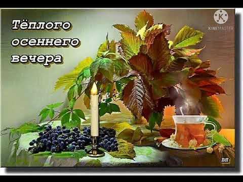 Доброго, приятного вечера! 💐💐💐💕💕💕🥰🥰🥰