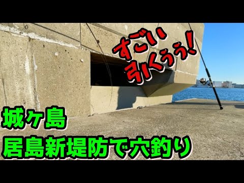 【穴釣り】沖堤防の穴はデカイ。釣れた魚は最後に炙りで♪