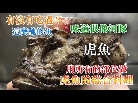 【長得很醜但高級魚】從日本來的特別魚"虎魚"不好看　但夏天生吃非常好　而且很多部位可以吃　壽司店師父介紹每一個部位可以吃的特別做法