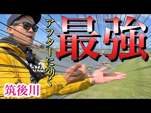 【筑後川バス釣り】アフターバスはこのワームでイチコロです！！