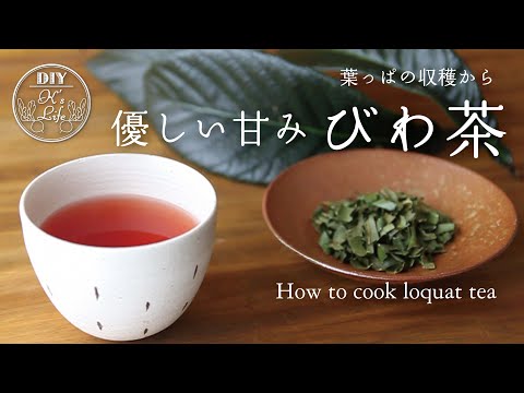 【びわ茶の作り方】我が家のびわの葉茶の作り方　How to make loquat tea - English subtitle