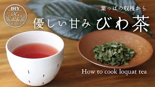 【びわ茶の作り方】我が家のびわの葉茶の作り方　How to make loquat tea - English subtitle