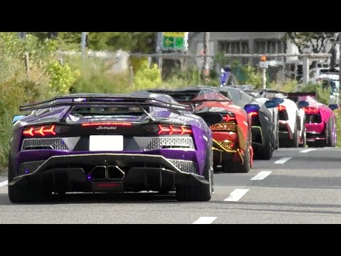 【LOUD】More than 40 Lamborghini Aventador! Acceleration sound! Exhaust sounds!