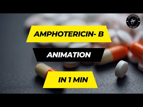 Amphotericin B Mechanism of Action Animation | DR. Nikita | Amphotericin B Mechanism of Action