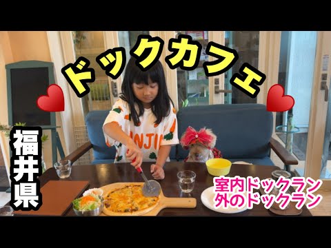 福井県のドックcafeがきれいでよかった☺️💓