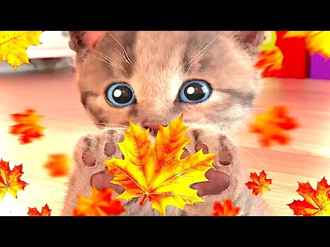 CUTE LITTLE KITTEN ADVENTURE TOP ANIMAL EDUCATIONAL VIDEO FOR PRESCHOOLERS KIDS #1141