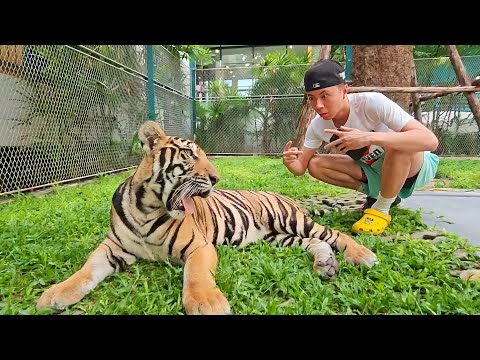 Ray Visits A ZOO In Thailand!