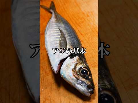 どんな料理にも使えるアジの三枚おろし #アジ #魚の捌き方 #三枚おろし