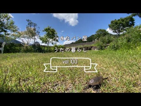 【暮らしvlog 100】おにぎり持って川原へ/カフェで3時のおやつ/亀の散歩/苺摘み