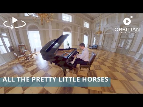 360° Concert - All the Pretty Little Horses performed by Petr Falkenauer