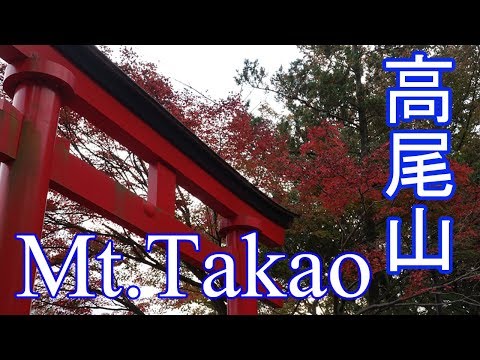 【GoPro HERO7】Mt.Takao Time lapse－高尾山１号路登山【タイムラプス】