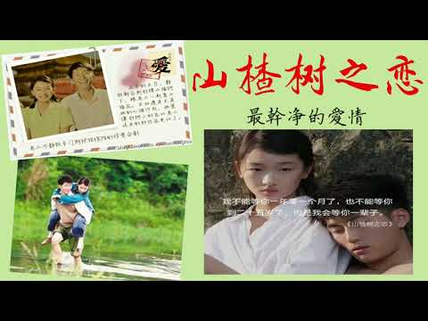 【听书】山楂树之恋 (下） 最干净的爱情   熊音  著 火柴 演播 【有声書】【有声书】【有聲小說】【有声小说】