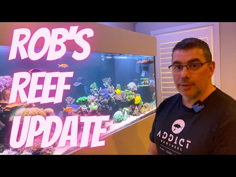 Rob's Reef Update - 8x2.5x2.5