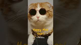 Happy Mew Year