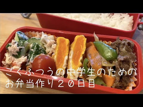 ２０日目♫ごく普通の中学生のためのお弁当づくり♫がっつりではない焼肉弁当♫