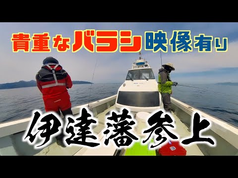 【真鯛】イッパツでヒット！さっすがぁ〜！すごぉ〜い！・・・えっ⁉︎ん⁉︎完璧な人間はいない！船●ョーだって人間だ