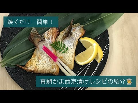 宮崎県産真鯛かま西京漬【春メニュー提案】