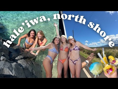 a day in north shore