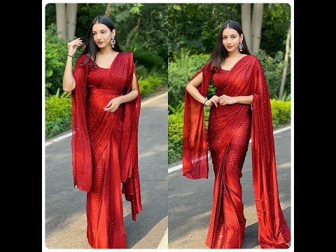 SAREE FAB   Rainbow Zari Chiffon