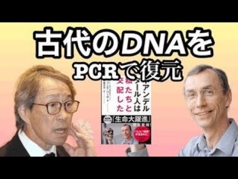 ネアンデルタール人は私たちと交配した　古代DNAをPCR法を用いて復元　武田鉄矢　今朝の三枚おろし