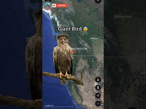 I Found Giant Bird On Google Earth😨 #shorts
