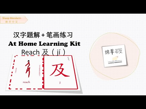 Sheep Mandarin 【汉字题解】Reach【及】jí 迫不及待