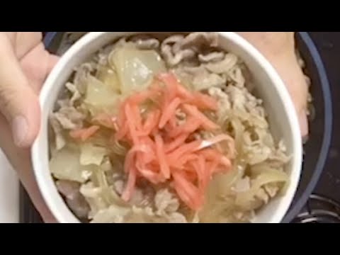 Gyudon- Beef bowl-Japanese Food