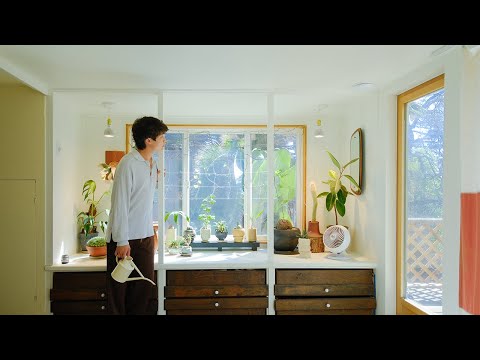 Relaxing Plant Care | Bedroom plant display, staghorn mount, terrarium care