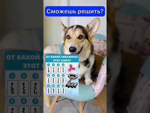 СМОЖЕШЬ РЕШИТЬ, ОТ КАКОЙ СКВАЖИНЫ ЭТОТ КЛЮЧ?