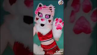 BEST Furry TikToks compilation 0493 #shorts #furrytiktok #furry  #funnyvideo  #youtube   #furries