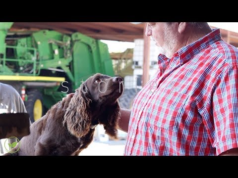 Being a Surviving Farmer