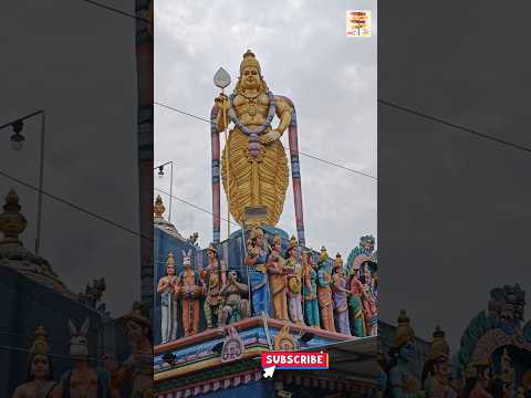 Murugan Temple 📍 Pondicherry Pondicherry #shorts #pondicherry #murugan #temple #viral #trending #yt