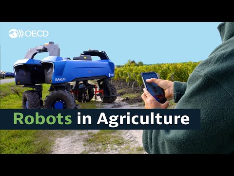 Are robots an answer to the challenges facing agriculture?