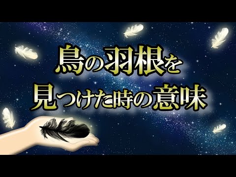 【サイン】あなたに伝えるために天からヒラヒラ落ちてきたメッセージ【鳥の羽根】