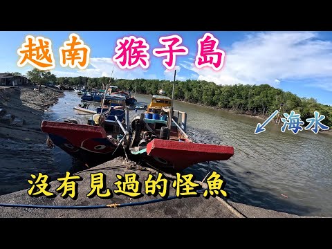 終於找到魚了 在越南四處跑隨便亂釣 每個地方都想去試試看 當作旅遊兼釣魚