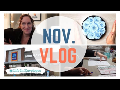 November Vlog / Rose Forever / Health Update / Aldi Haul / Favorite Recipes / Day in the Life / Etsy