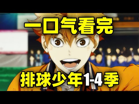 一口气看完，排球少年1-4季！燃爆神作！教练，我想打排球！