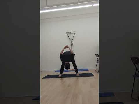 요가2각자세 yoga dwikonasana