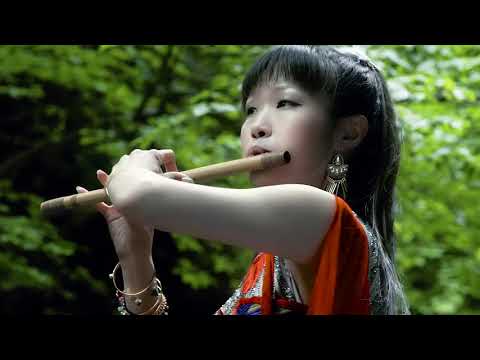 Música Japonesa de Flauta de Bambu (Shinobue) - Evolução (Koto)