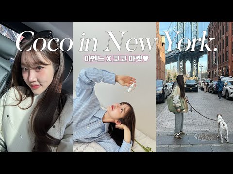 NYC VLOG 뉴욕 VLOG 미쉘이랑 뉴욕 생활 ft. 도비