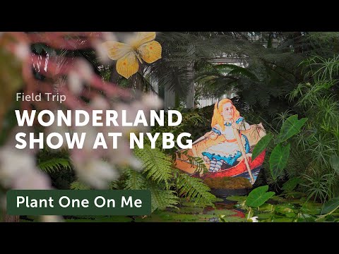 New York BOTANICAL GARDEN WONDERLAND Tour — Ep. 391