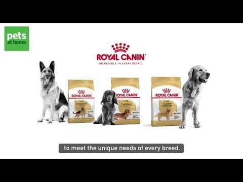 Royal Canin Dog