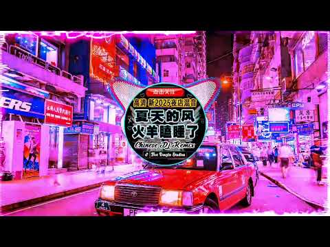 🎧2025最火歌曲DJ Remix【最佳 DJ 混音音乐】💘 抖音神曲2025 🎼 破億中文歌曲排行榜: 阿冗 - 你的答案/ 刘瑾睿 - 若把你 / 仗著 - 陳壹仟/仗著/王靖雯不胖...