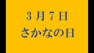 3月7日。さかなの日。（俳句&カレンダー）