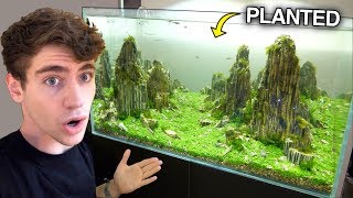 The ULTIMATE Freshwater AQUARIUM??... (rare fish too)