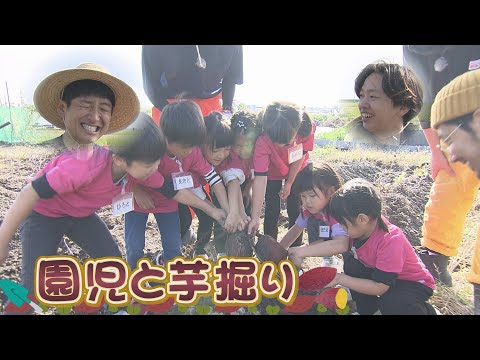 【農園部37】園児たちと一緒に芋掘り♪大きくなり過ぎた！？サツマイモの大きさに大興奮！！