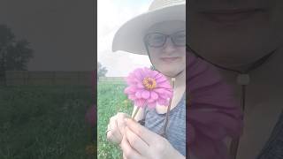 Harvest Cut Flowers #flowerfarm #flowers #flowersfromseed #farmerflorist