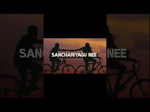 Ninna Nodadhe | Sanchariyagu Nee | Vijay Prakash #shortsvideo #shorts #viral #vijayprakash #kannada